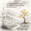 What's a haiku?