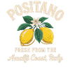 Amalfi Coast Citrus Shirt