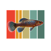 Killifish Egg-laying Tooth Doughnut Aquarium