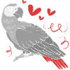 Parrot Grey