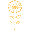 dandelion