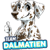TEAM Dalmatian - brown