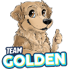 TEAM Golden Retriever