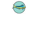 Mahi Mahi Dolphinfish