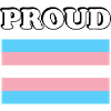 Trans Pride transpride Flag