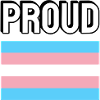 Trans Pride transpride Flag Proud