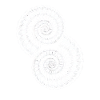 Ammonites Fossiles Préhistoriques