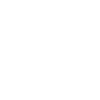 Viking Skull