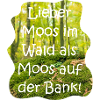 Moos im Wald