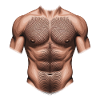 Muscular Men Upper Body
