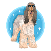 Afghan Greyhound Dog Owner Gift