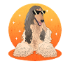 Afghan Greyhound Dog Owner Gifts