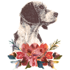 Chien et fleurs