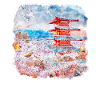 Japanese Asia Sakura Blossom