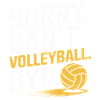 Fun volleyball