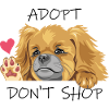 Peeking waving sad Pekingese dog
