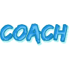 Coach as a job
