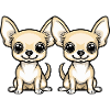 Chihuahua Hund Comic