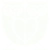 Owls 2