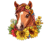 Cheval en couronne d’été