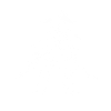 pirate