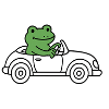 Frog in the car