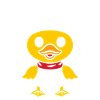 pirate