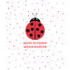 MY LITTLE LADYBUG