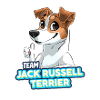 TEAM Jack Russell Terrier - Fauve