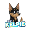 EAM Kelpie - Black & Tan