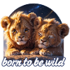 Two Little Lions