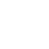 Roses Flowers