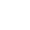Rose Flower