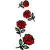 Roses Flowers