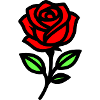 Rose Blume