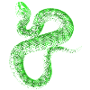 Serpent Vert / Blanc
