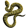 Snake Sable / Ombre