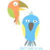 Don't Talk to Me Birds