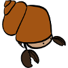 Chestnut Hermit Crab