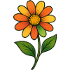 Orangene Blüte Farbzauber
