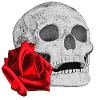 menschenschädel, rosenblüte, goth
