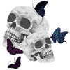 menschenschädel, schmetterlinge, goth