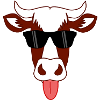 Cow with sunglasses
