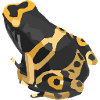 Bumblebee Frog Geometric Design