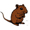 Gerbil Brown Gift