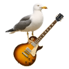 BBB Seagull Logo