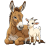 Donkey and goat