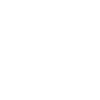 Intricate Butterfly Skull Design