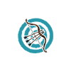 Persian Precision - Persian Bow