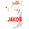 Raccoon Jakob